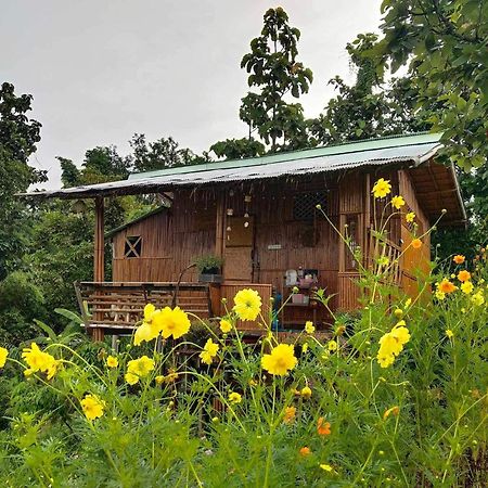 Baan 2 Dao Farmstay Chiang Dao Εξωτερικό φωτογραφία