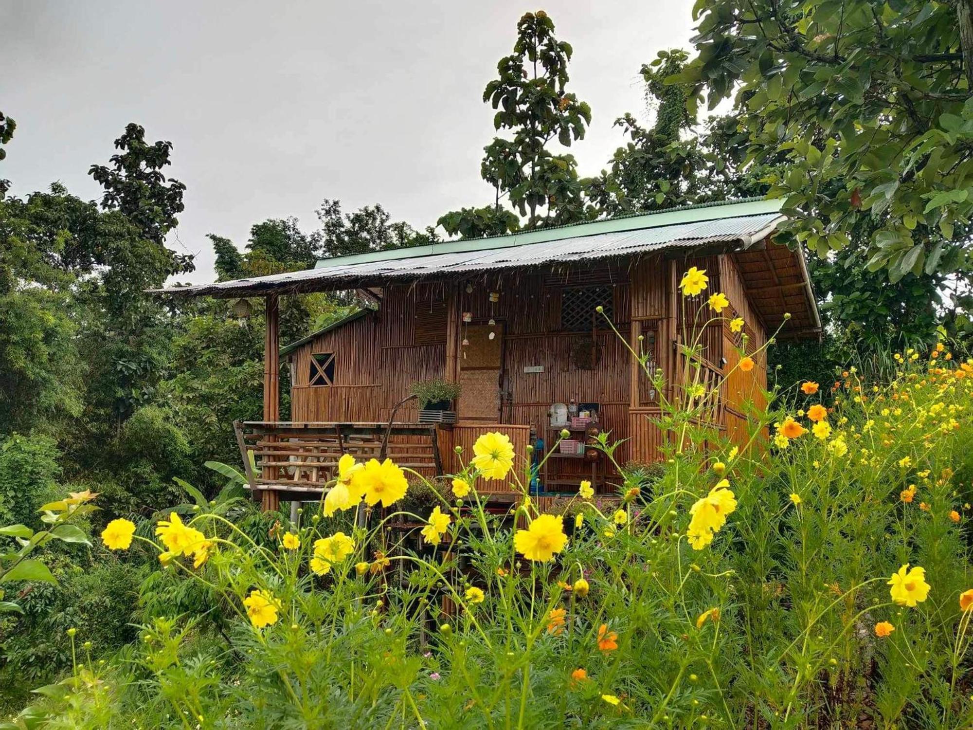 Baan 2 Dao Farmstay Chiang Dao Εξωτερικό φωτογραφία